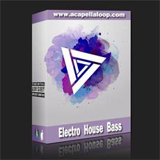 Bass素材/Electro House Bass